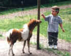 JASON & DUCHESS HAVING A DISUSSION