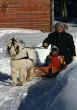SLEDDING