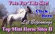PLEASE VOTE FOR US