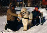 HAVING SOME WINTER FUN